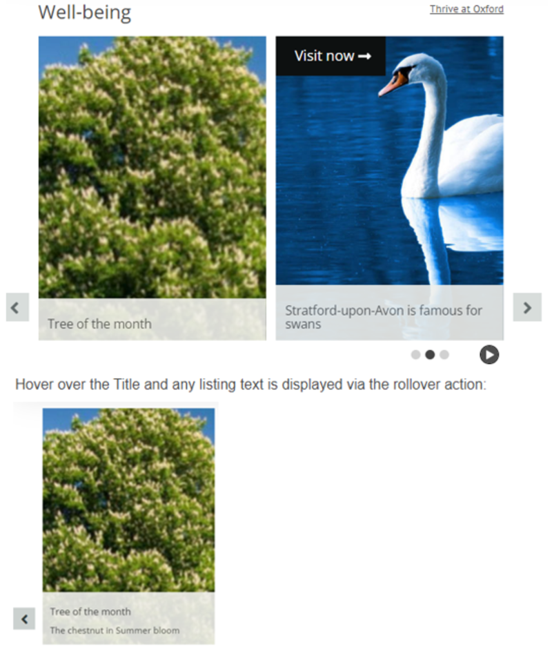 Screenshot of Tile with rollover for carousel widget showing tertiary lines of text revealed when mouse hovers over tile image